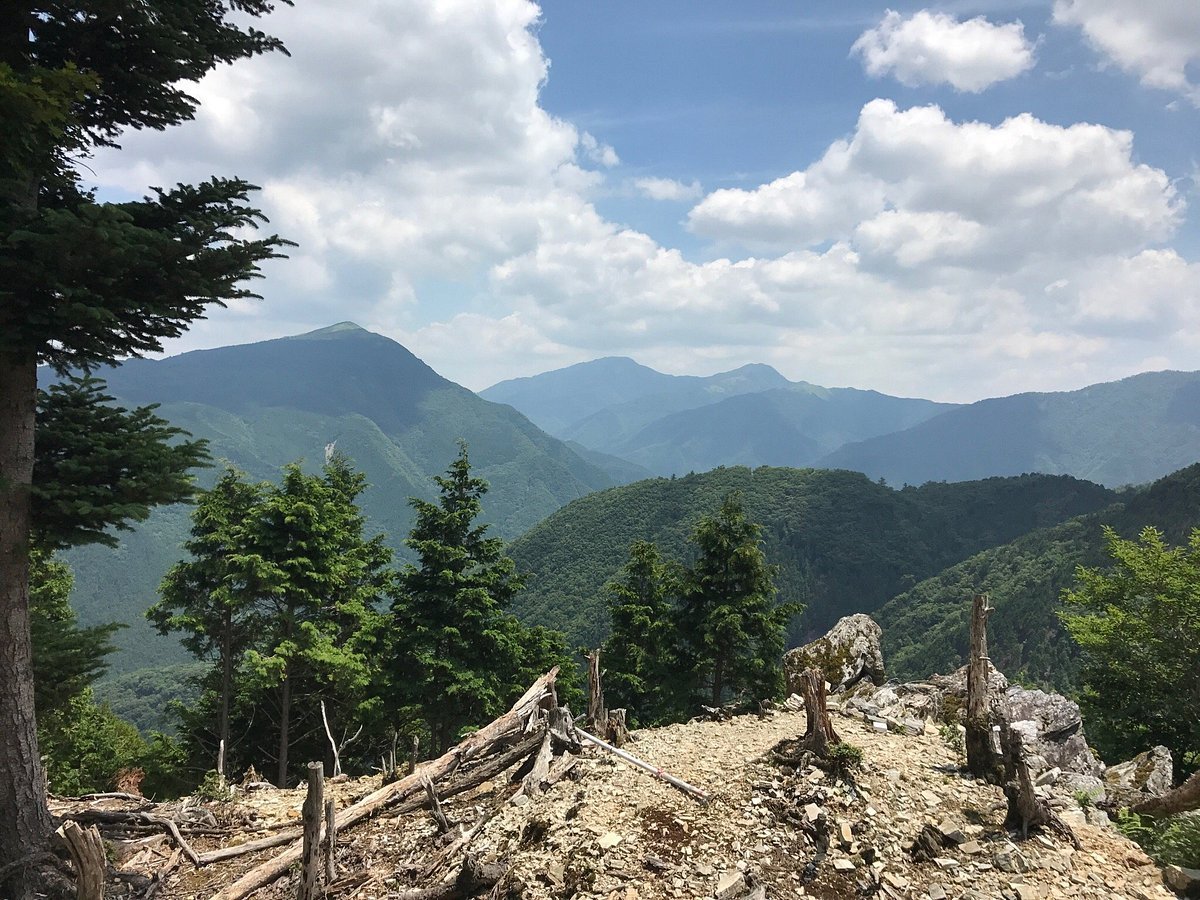 🚠 오쿠이야 관광 순환 모노레일(오쿠이야 칸코 슈유 모노레일) 이미지 4
